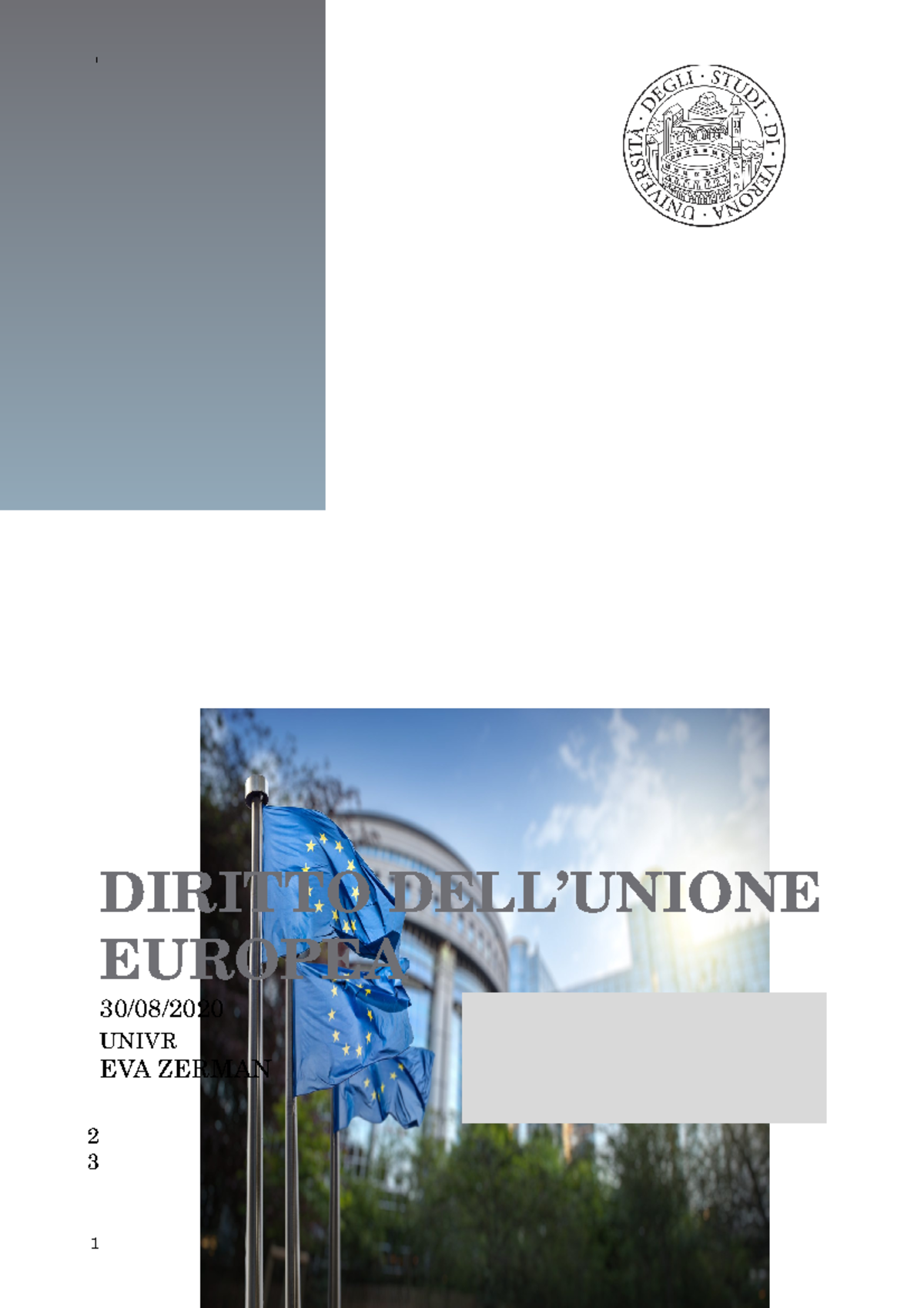 Ue Schemi - Diritto Dell'unione Europea - UniVr - Studocu