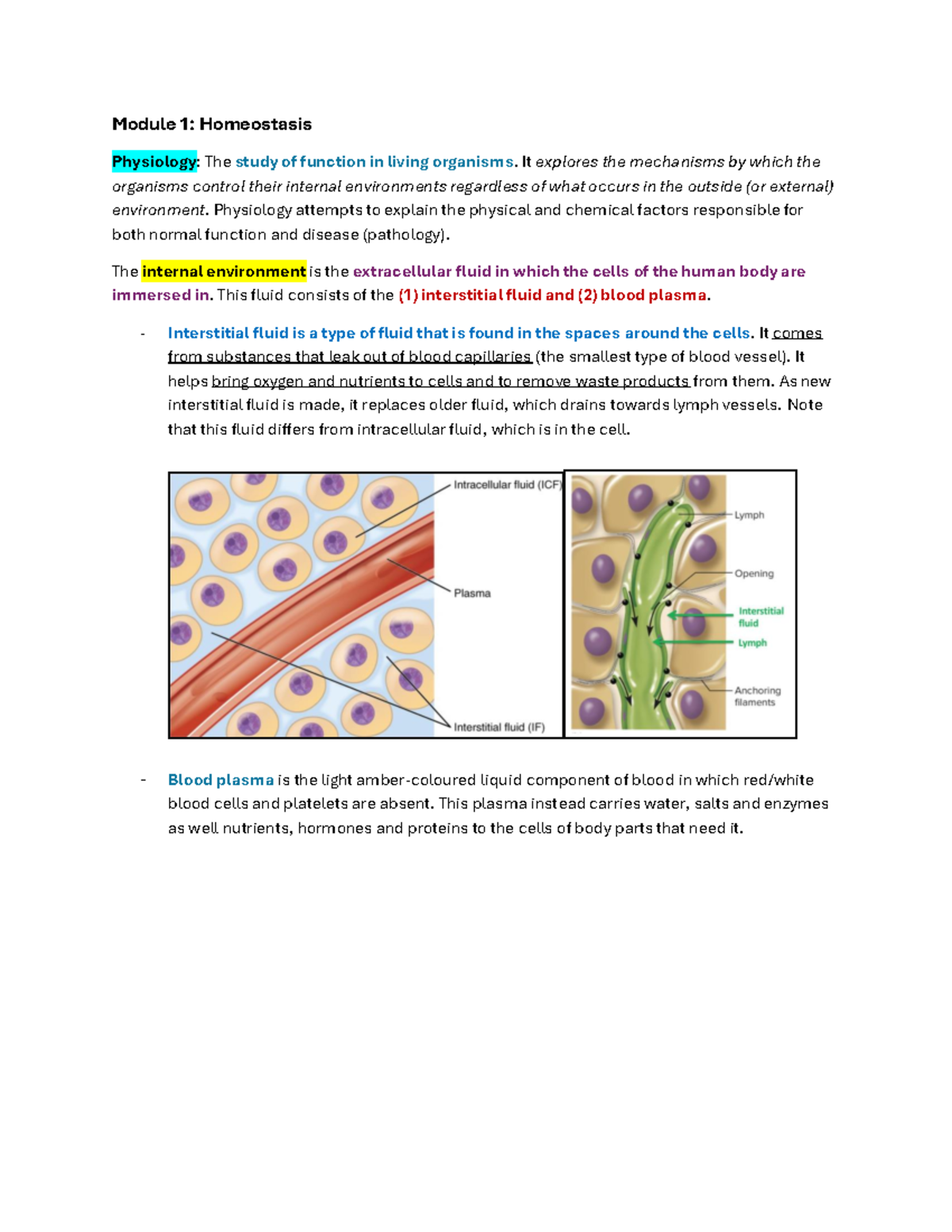 Physiology 2130 Course Notes - Module 1: Homeostasis Physiology: The ...
