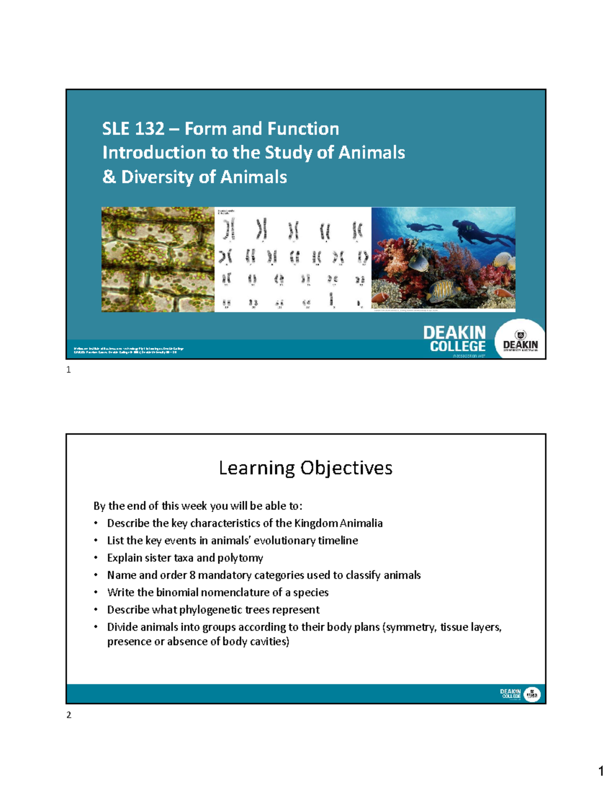 Week 6b - Lecture notes - Melbourne Institute of Business and ...