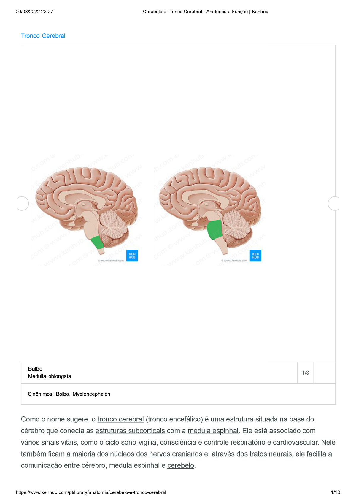 Cerebelo E Tronco Cerebral Anatomia E Fun O Kenhub Tronco Cerebral Como O Nome Sugere O