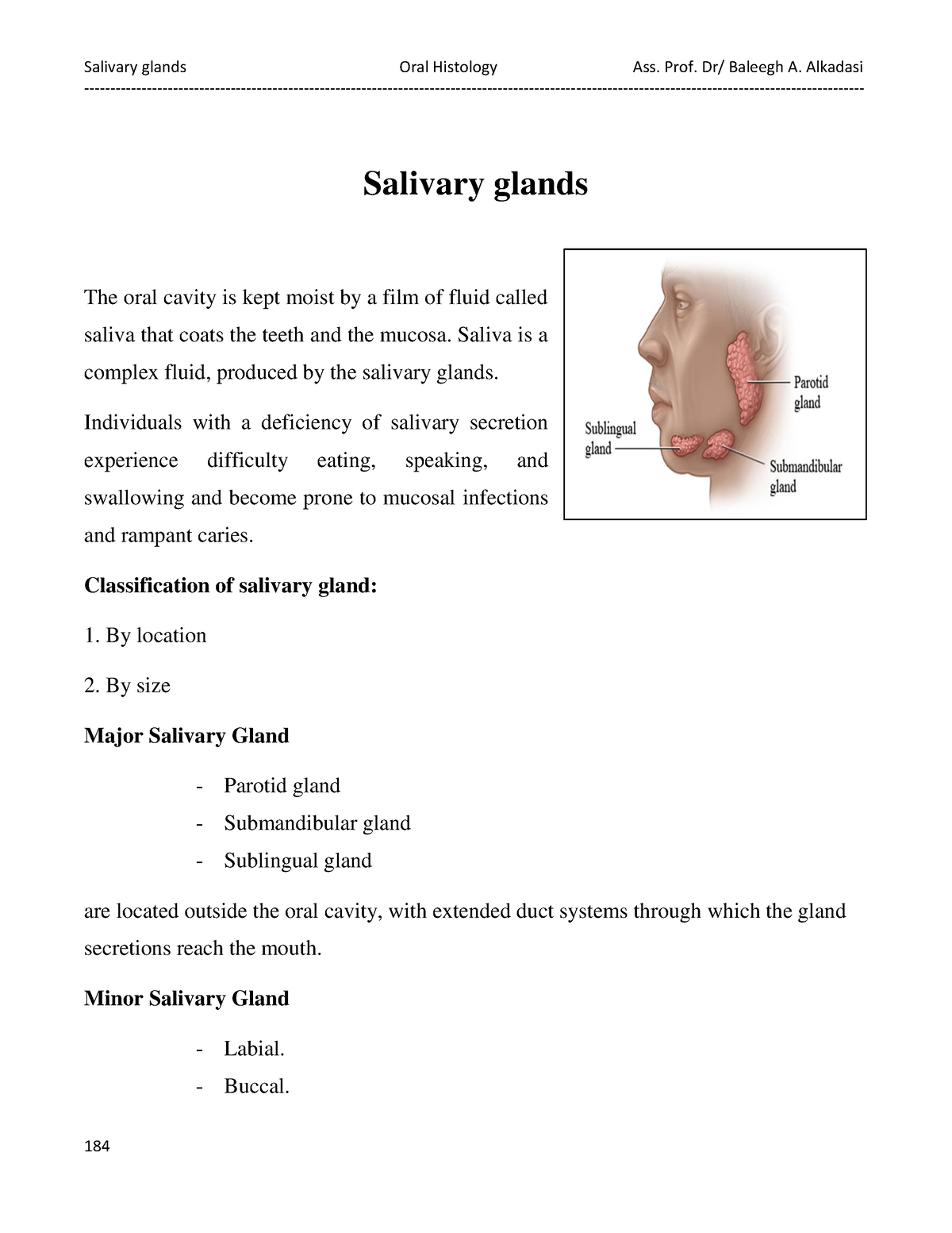 salivary-glands-salivary-glands-the-oral-cavity-is-kept-moist-by-a