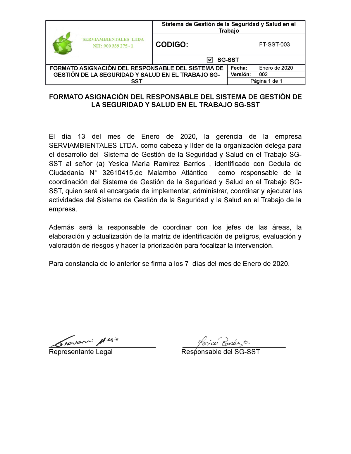 3 Ft Sst 003 Formato Asignación Responsable Del Sg Sst Sistema De