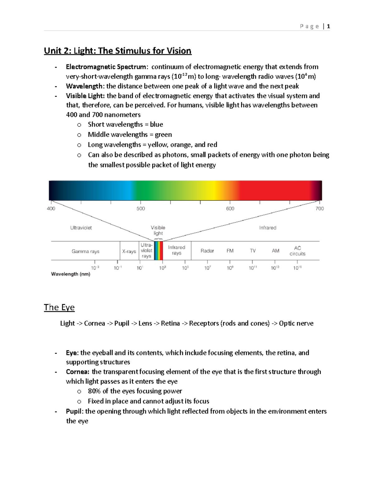 Chapter 2 - The Beginnings Of Perception - Unit 2: Light: The Stimulus ...