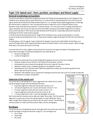 Microanatomy Slides List - Microanatomy Slides 43 40 28 29 30 18 23 24 ...