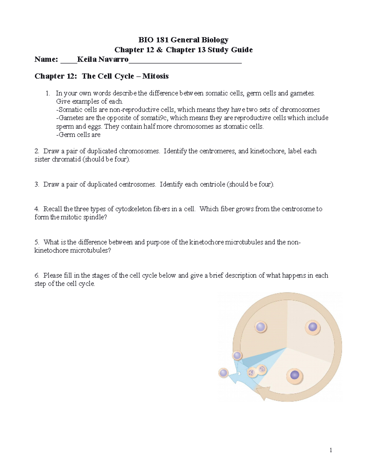 Chapt 12 And 13 Study Guide F23 - BIO 181 General Biology Chapter 12 ...