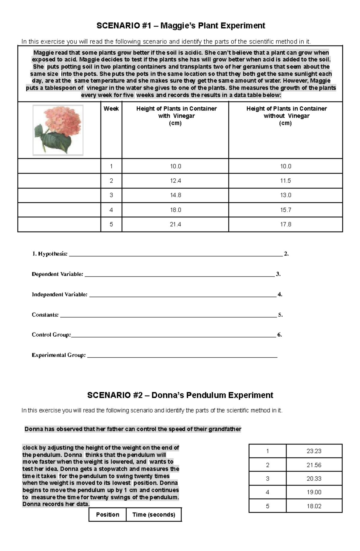 Scientific Method Scenarios SCENARIO 1 Maggie s Plant Experiment In This Exercise You Will 