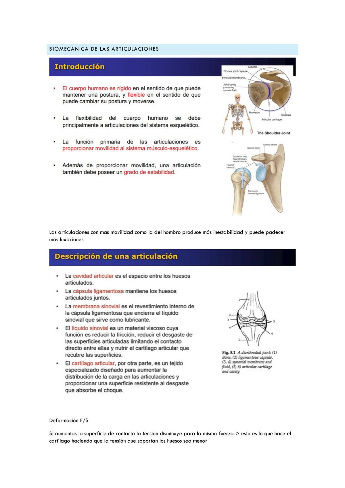 Biomecanica - Apuntes Segundo Parcial - BIOMECANICA DE LAS ...