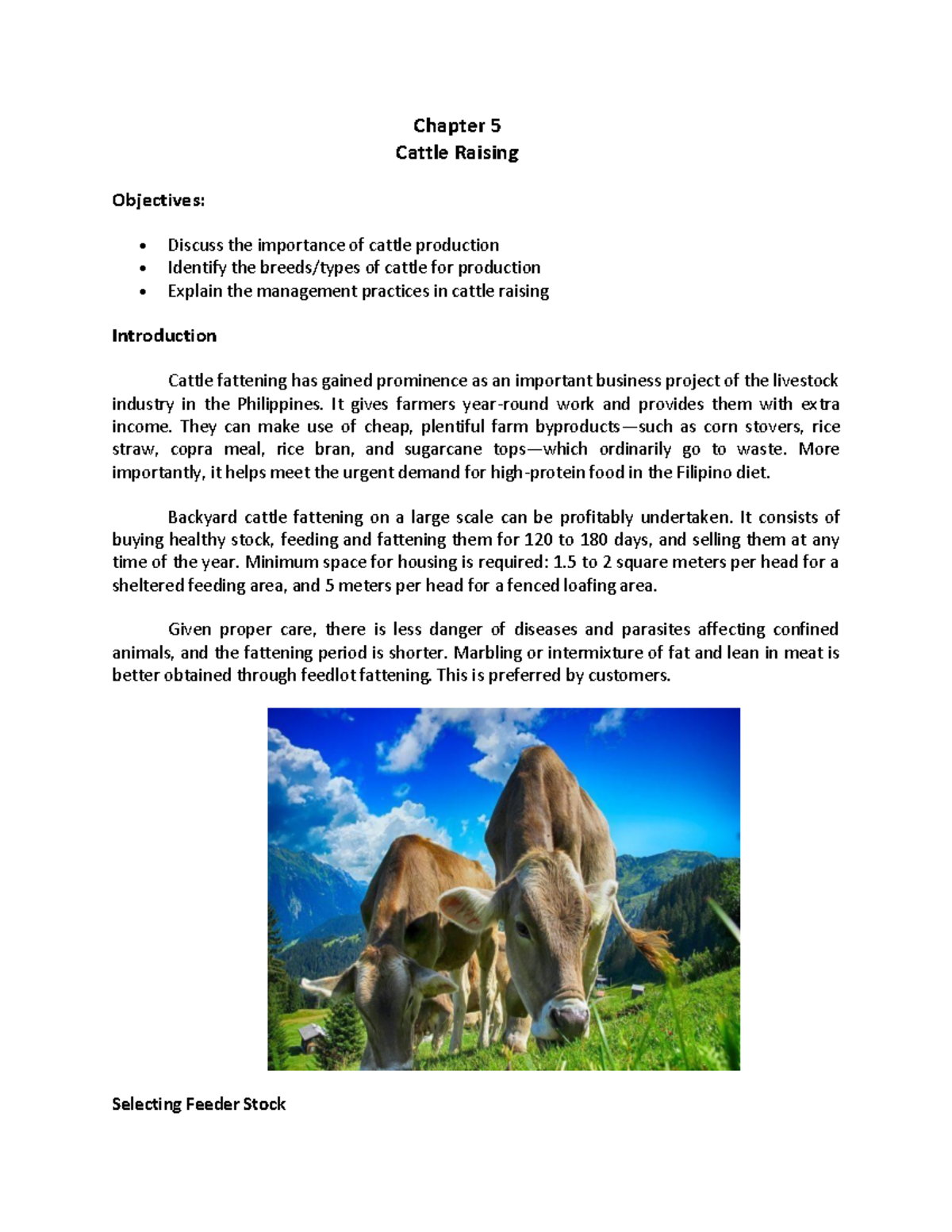 Cattle raising Cattle raisingCattle raisingCattle raisingCattle ...