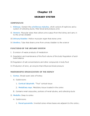 Sketchy Notes 240419 145600 - Sketchy Notes MedSN Bacteria Gram ...