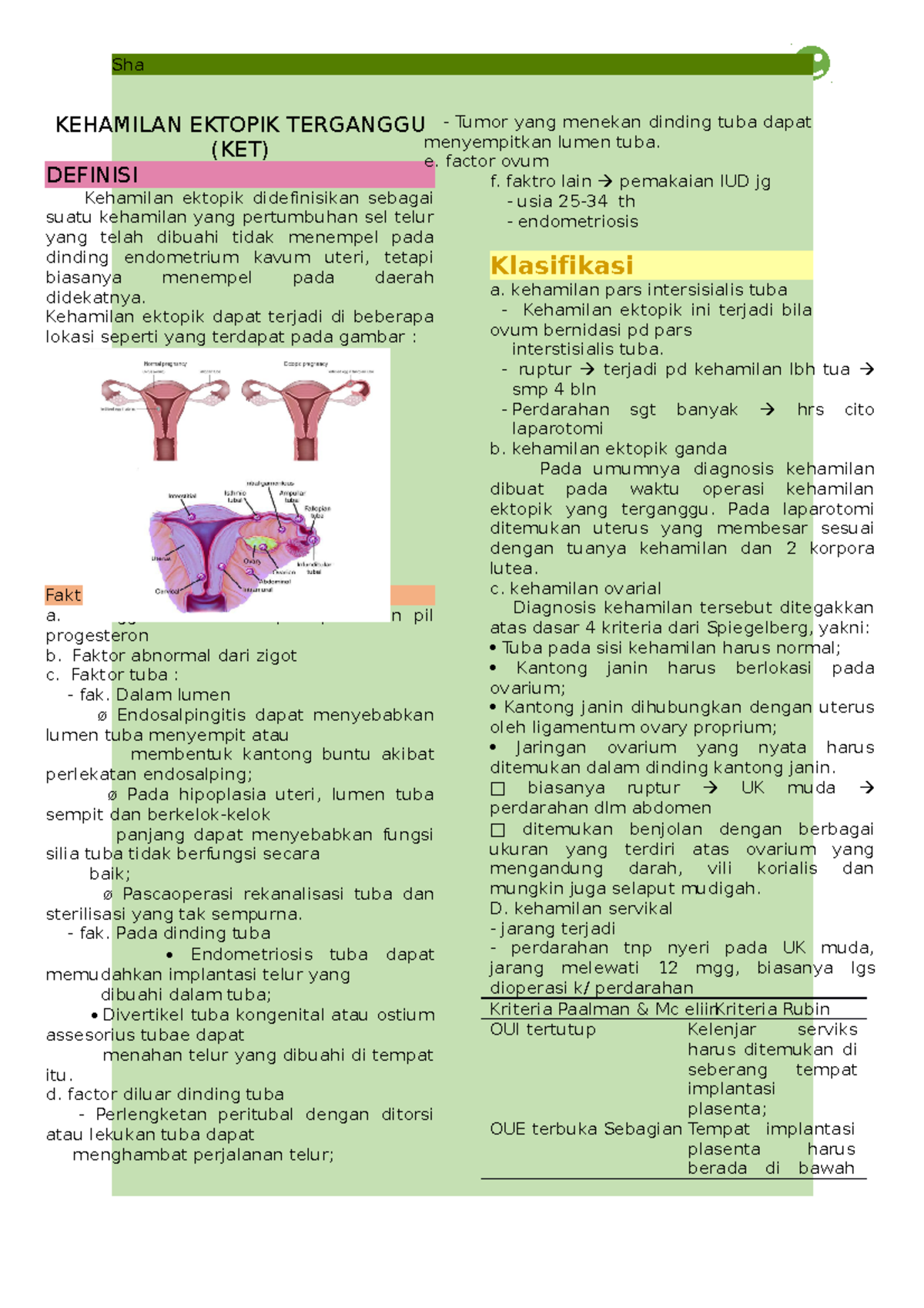 Kehamilan Ektopik Terganggu Sha KEHAMILAN EKTOPIK TERGANGGU (KET