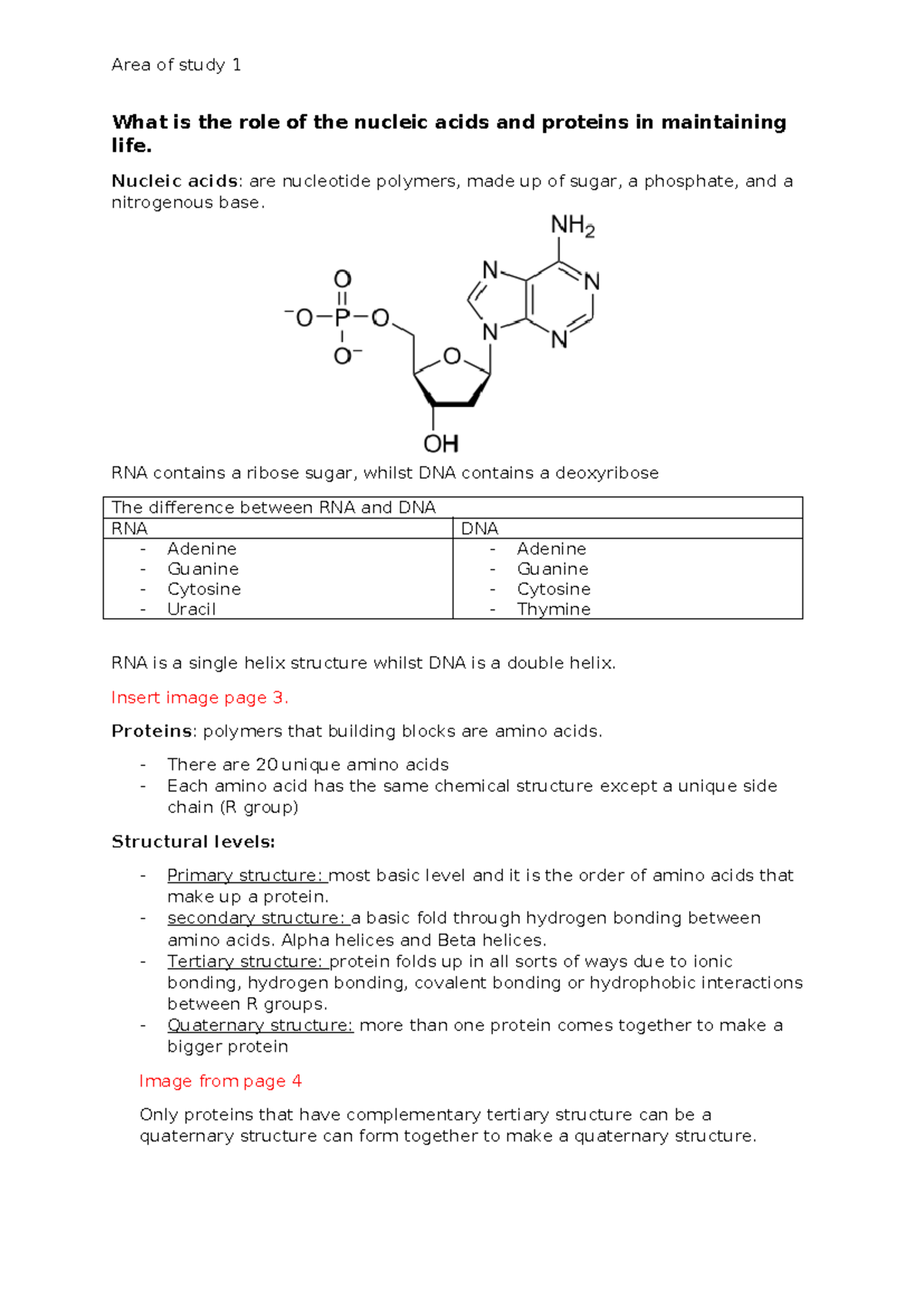 What is the role of the nucleic acids and proteins in maintaining life ...