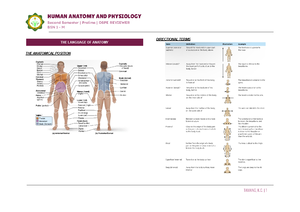 Tissue - Reviewer - MC102 HUMAN ANATOMY AND PHYSIOLOGY LECTURE TISSUES ...