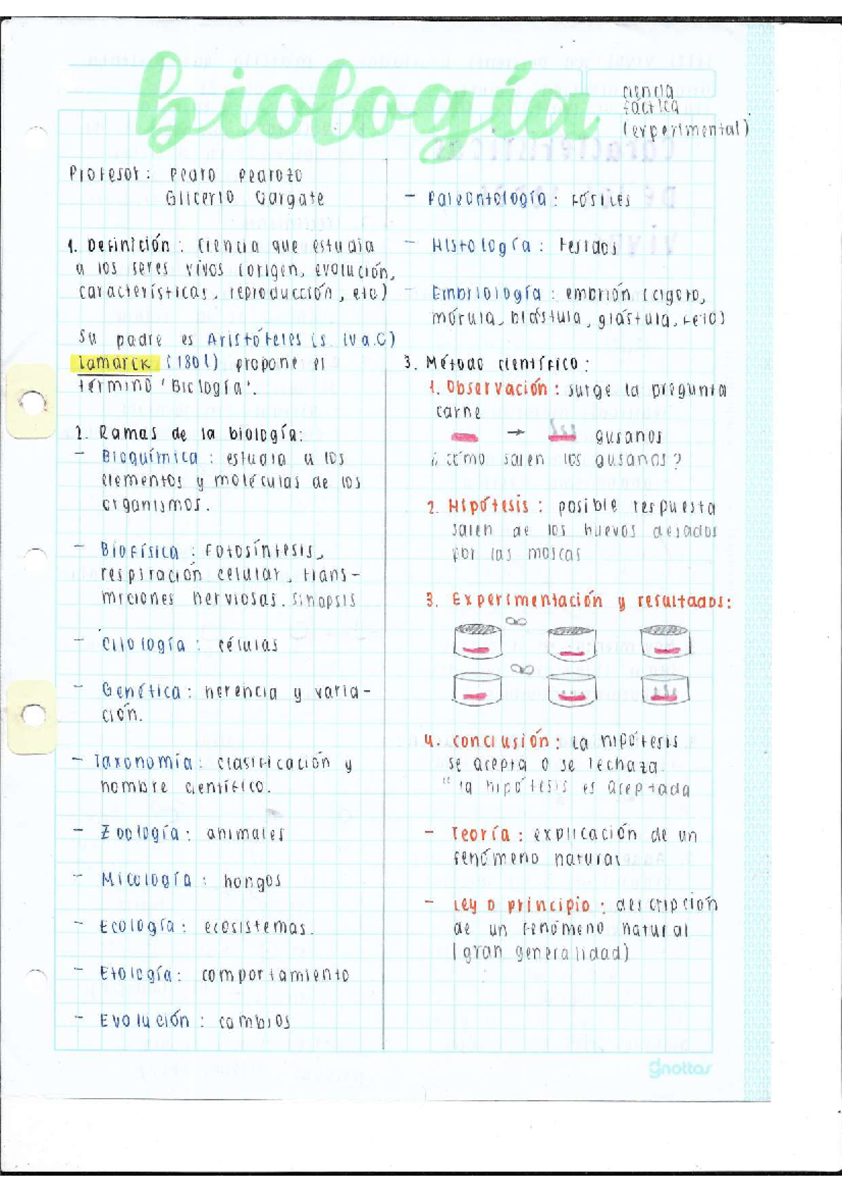 Bio - Clases de Biología - Biologia - Studocu