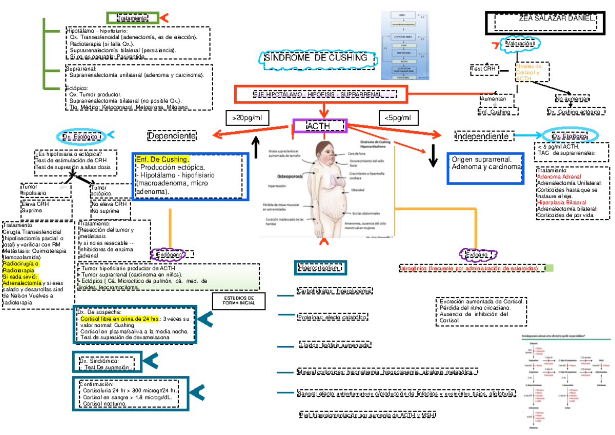 Mapa mental Sd de Cushing SÍNDROME DE CUSHING ACTH Dependiente