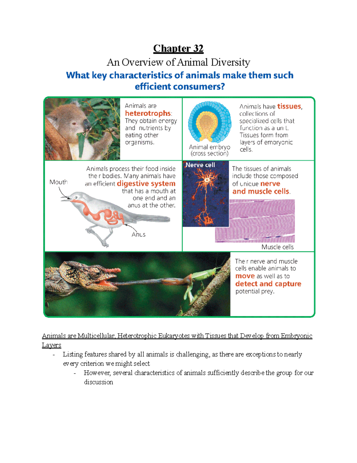 Biology 2: Chapter 32 Bio - BY 394 - UAB - Studocu