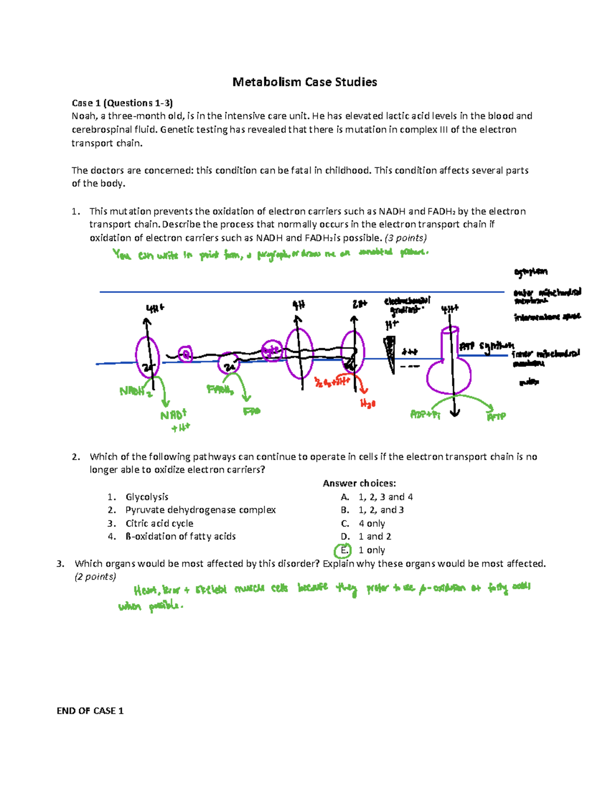 metabolism 3.0 case study test part 1