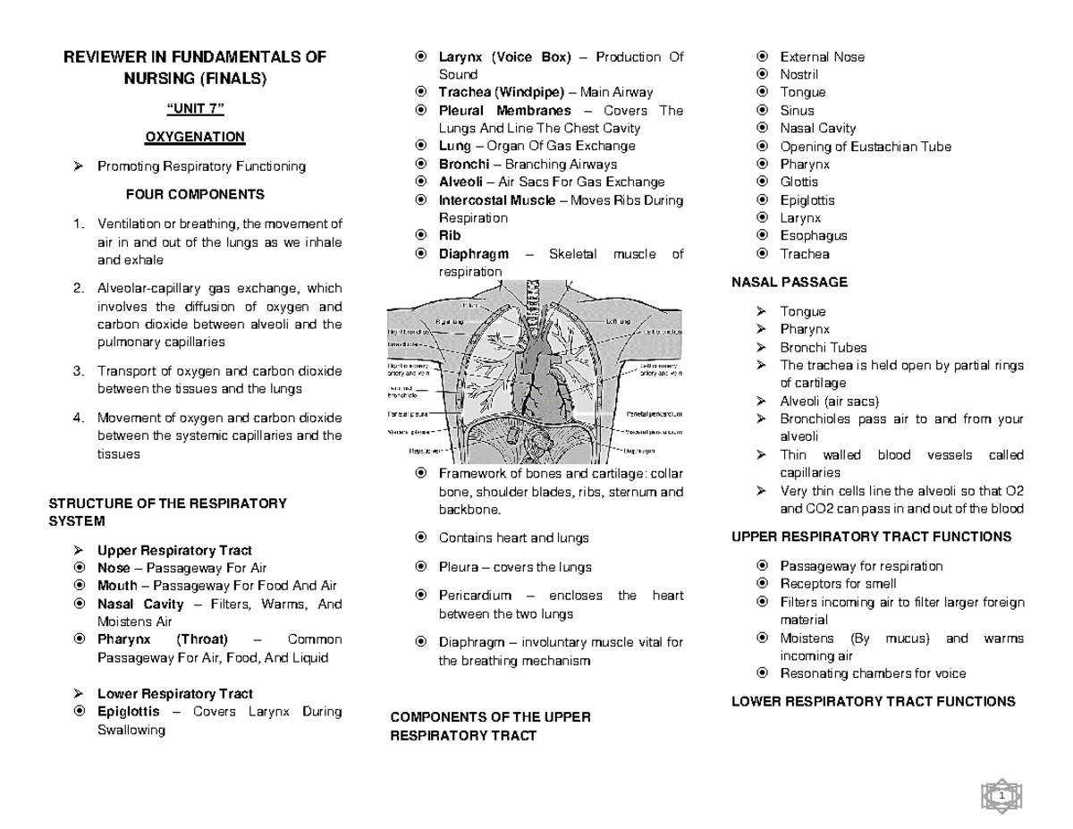 Reviewer In Fundamentals Of Nursing (Finals) - REVIEWER IN FUNDAMENTALS ...