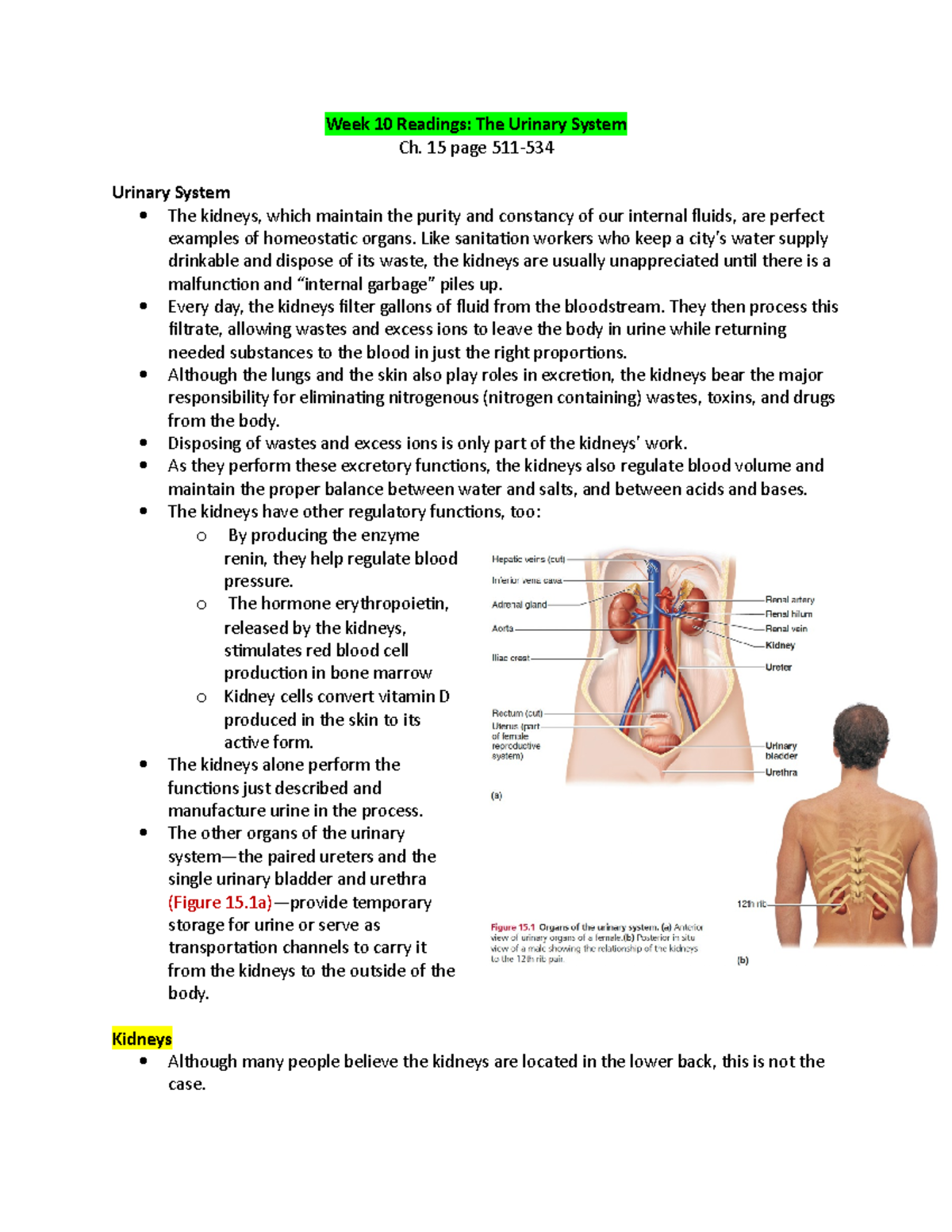 Week 10 Readings - weekly course notes - Week 10 Readings: The Urinary ...