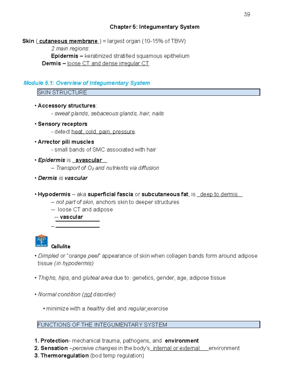 Chapter 5 Integumentary System - Chapter 5: Integumentary System Skin ...