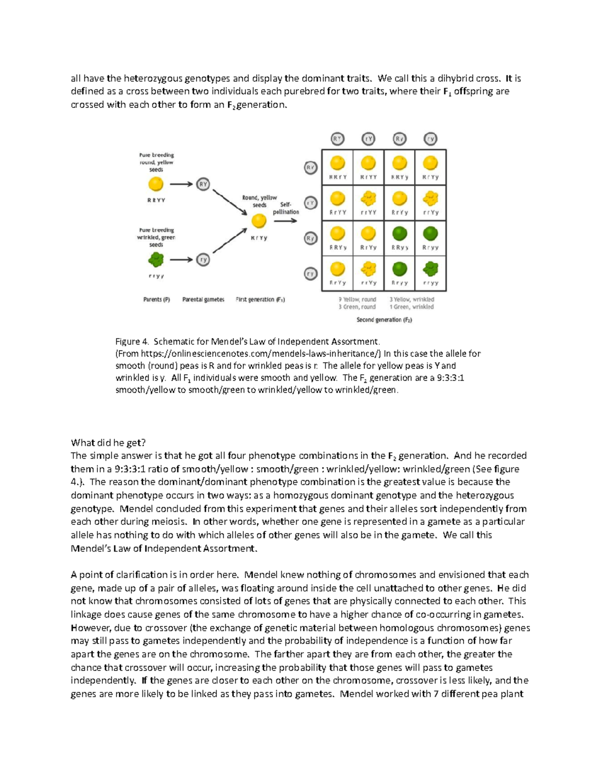 76 Armstrong Unit 1 all have the heterozygous genotypes and