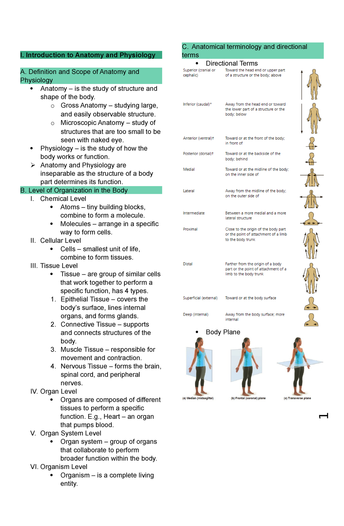 Anatomy And Physiology Transes - I. Introduction To Anatomy And 