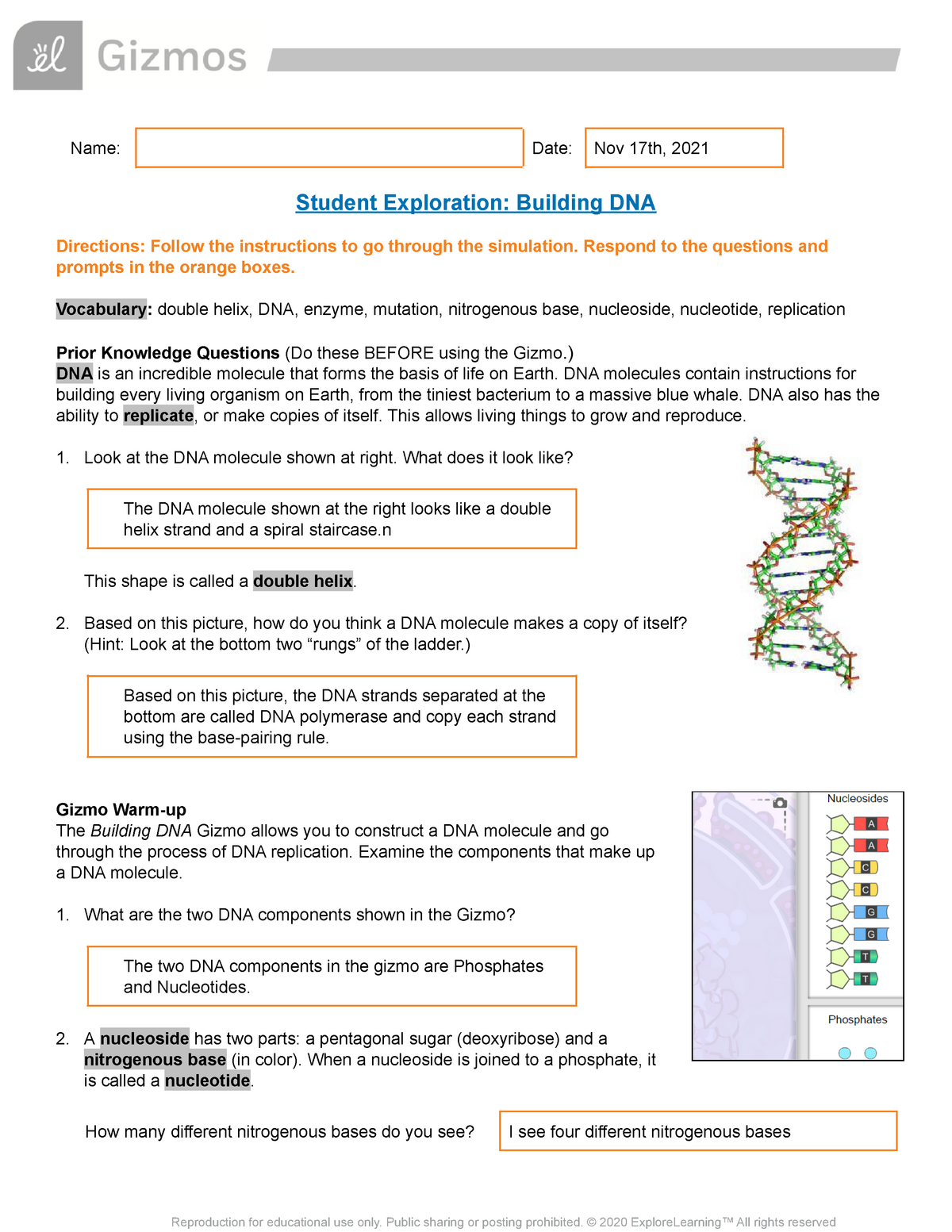 RNA and Protein Synthesis Gizmo lab Worksheet Studocu