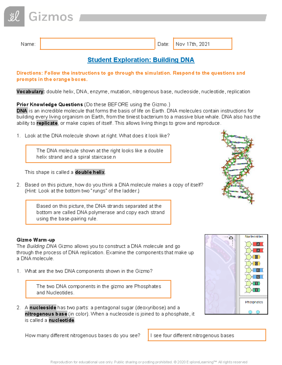 Dna Vs Rna And Protein Synthesis Answer Key Pdf