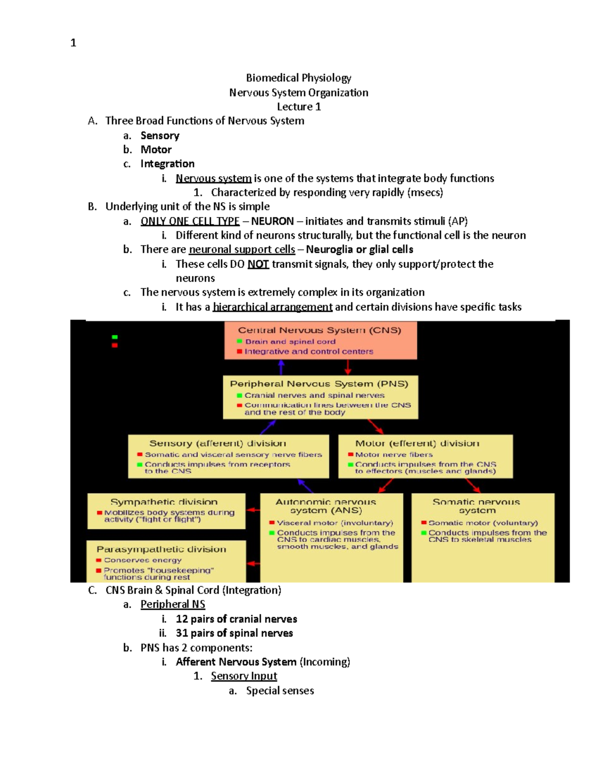 L1 – Nervous System I - 1 Biomedical Physiology Nervous System ...