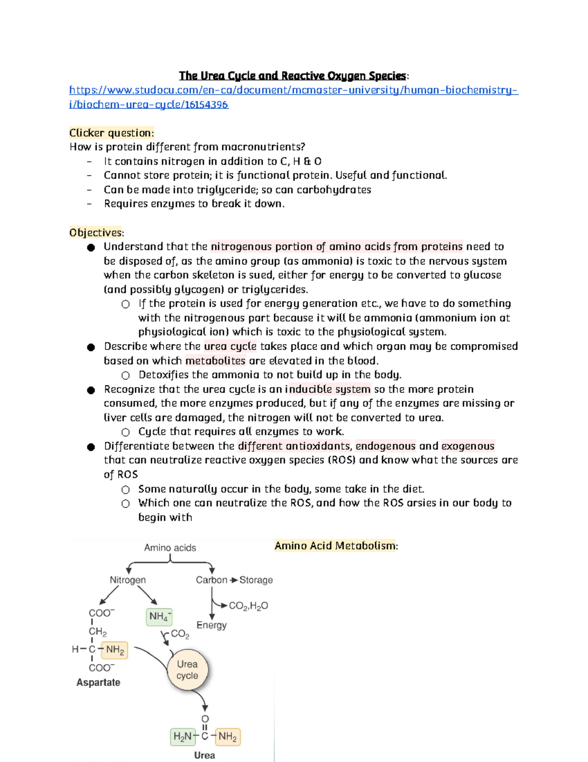 The Urea Cycle & ROS - The Urea Cycle and Reactive Oxygen Species ...