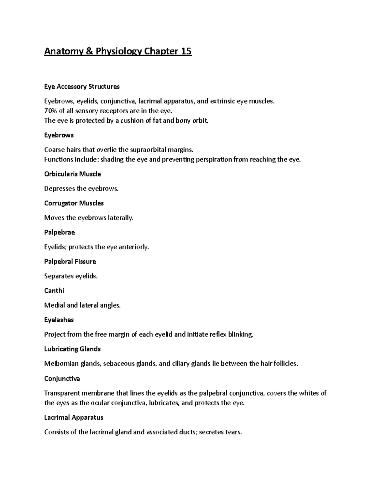 Human Anatomy Chapter 15 - Anatomy & Physiology Chapter 15 Eye ...