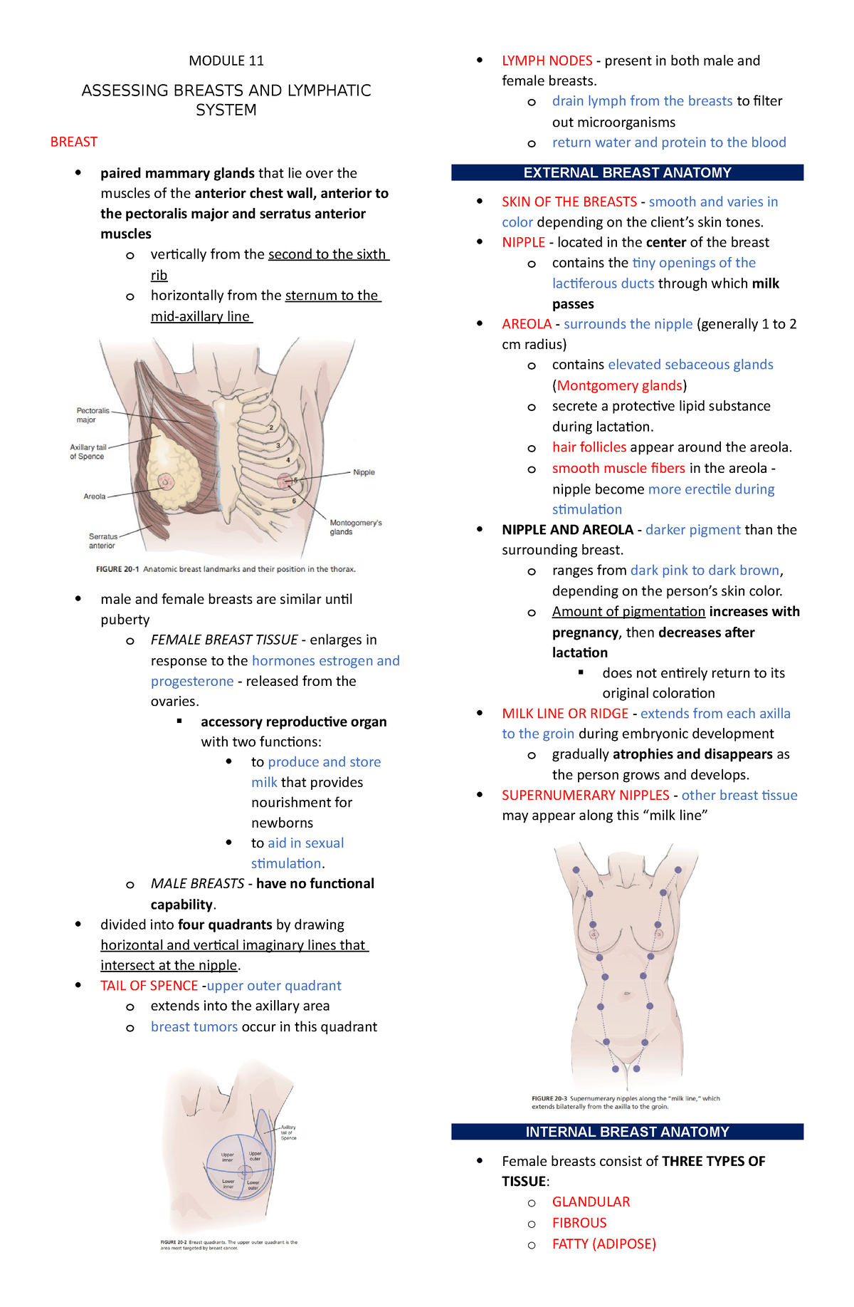 Module 11 Assessing Breast And Lymphatic System Module 11 Assessing