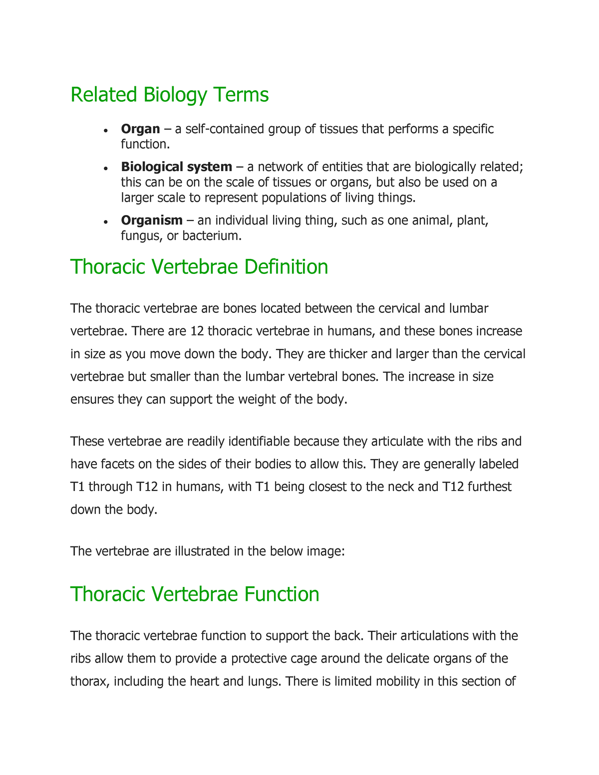 Related Biology Terms - Biological System – A Network Of Entities That ...