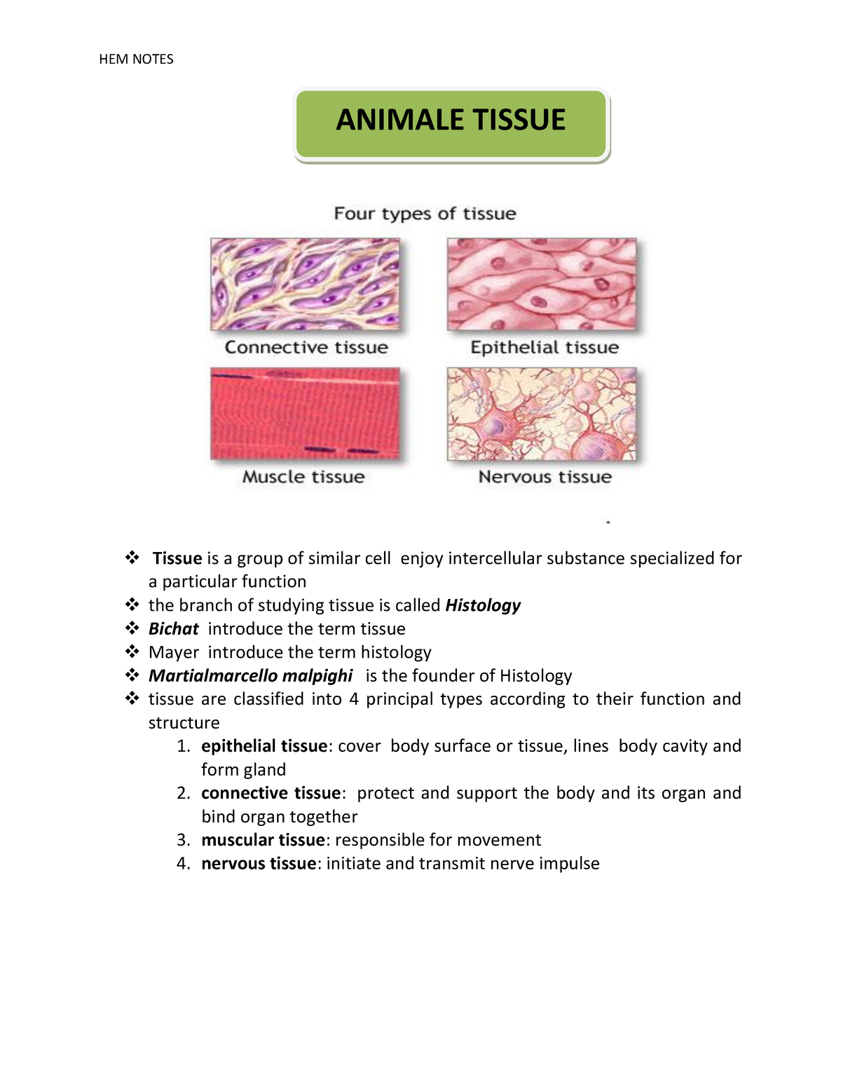 Types of Animal tissue - HEM NOTES ANIMALE TISSUE Tissue is a group of  similar cell enjoy - Studocu