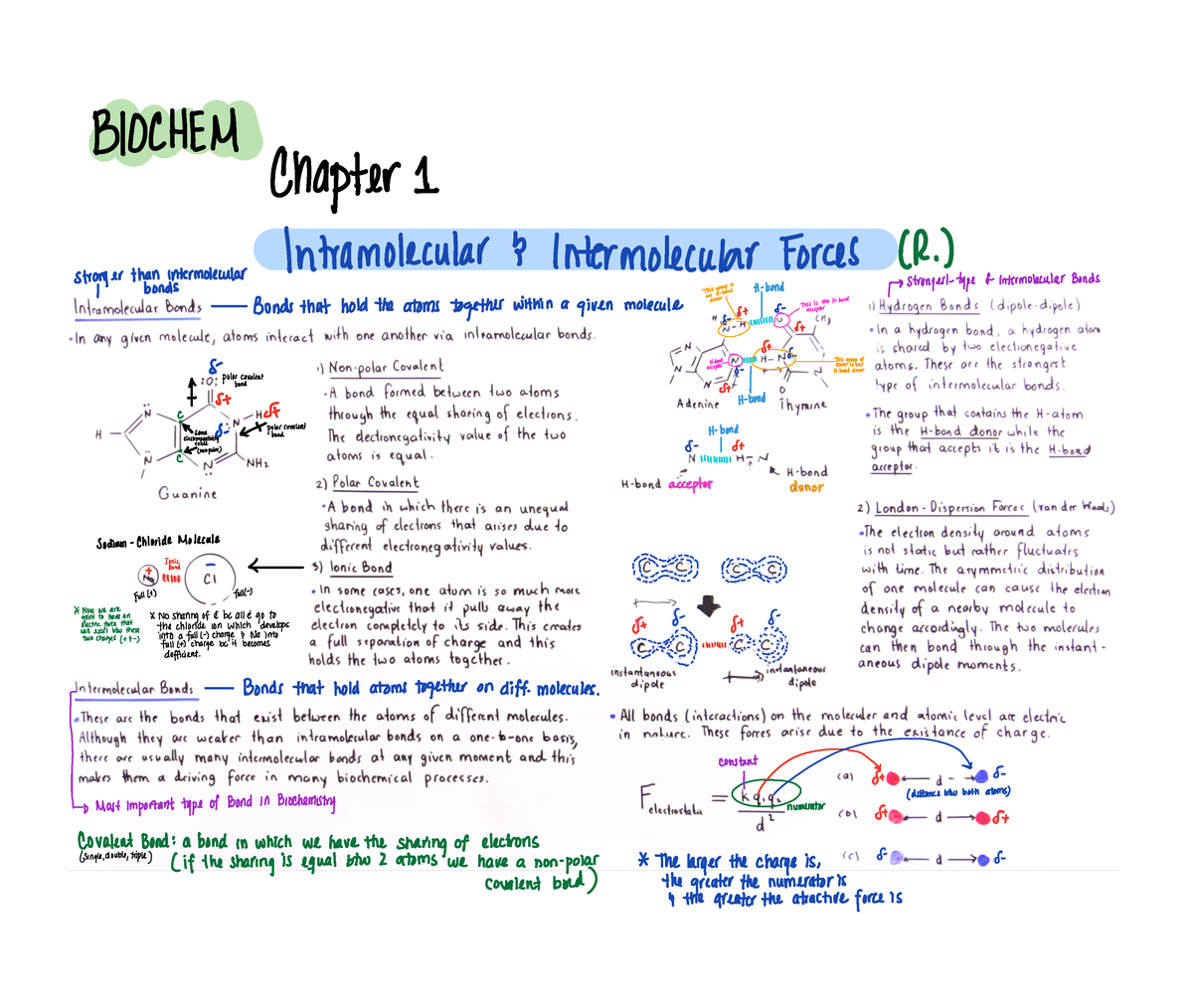 Chapter 1-3 - A-K Lectures For Exam 1 - BCH3033 - Studocu