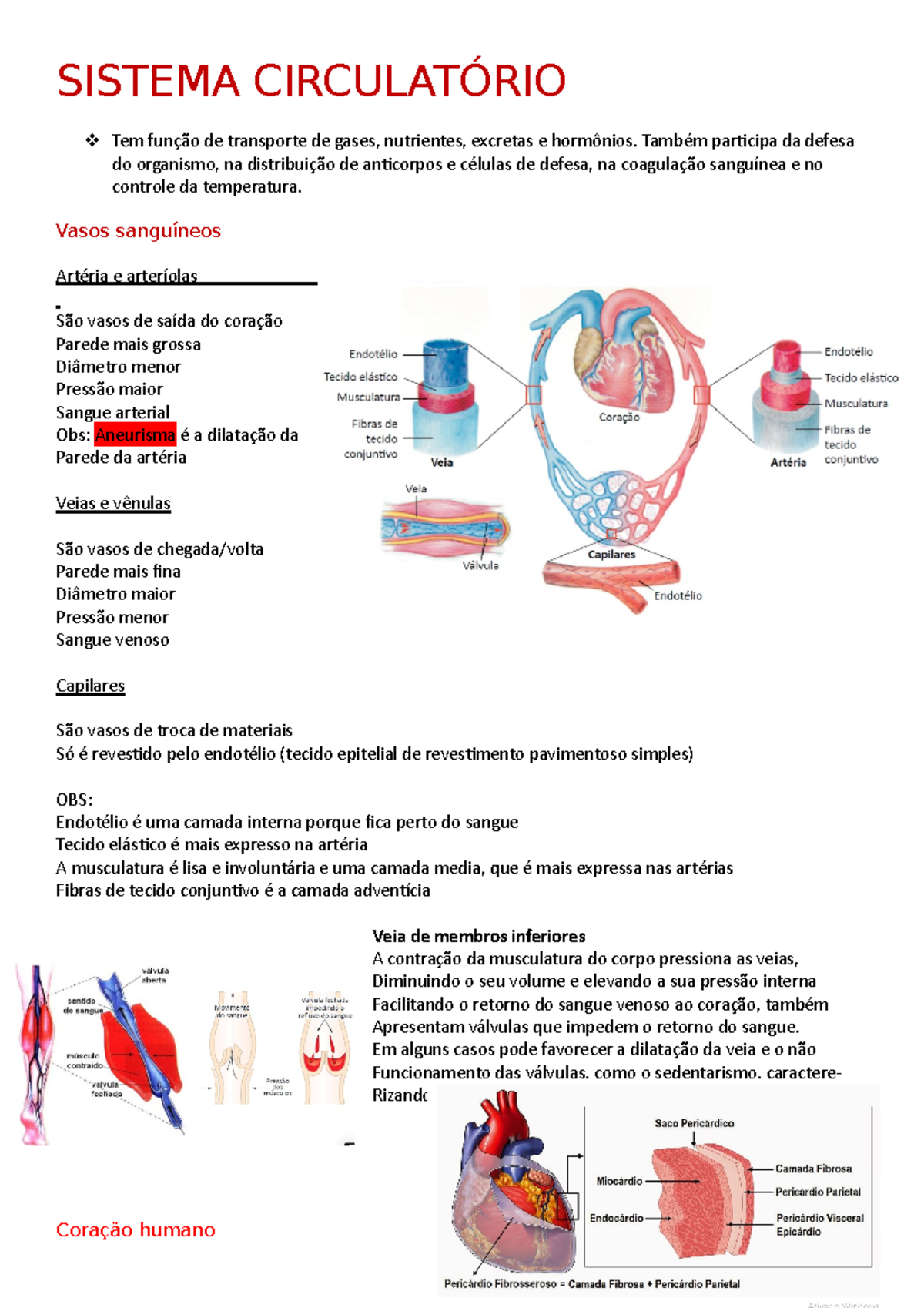 Sistema Circulatório Resumo _ Sistema Cardiovascular Resumo – TJFNZ