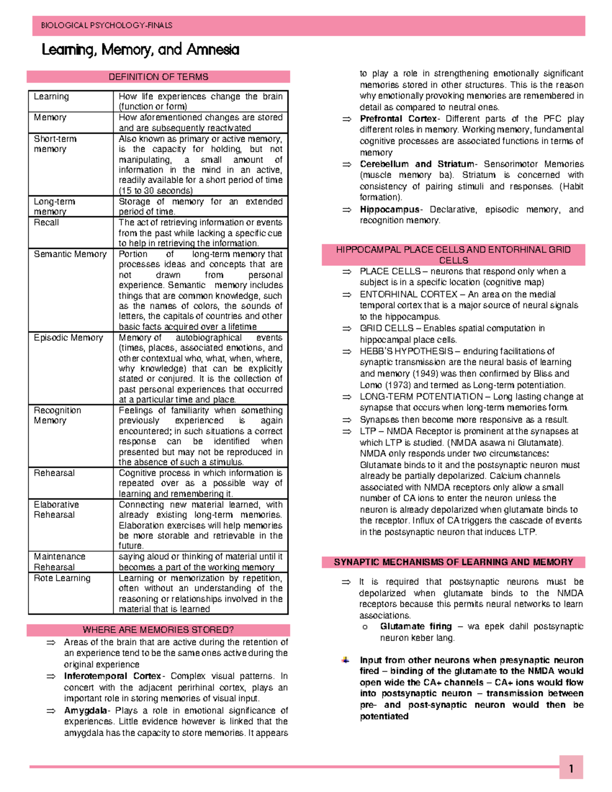 Biopsychology Learning, Memory AND Amnesia - BIOLOGICAL PSYCHOLOGY ...