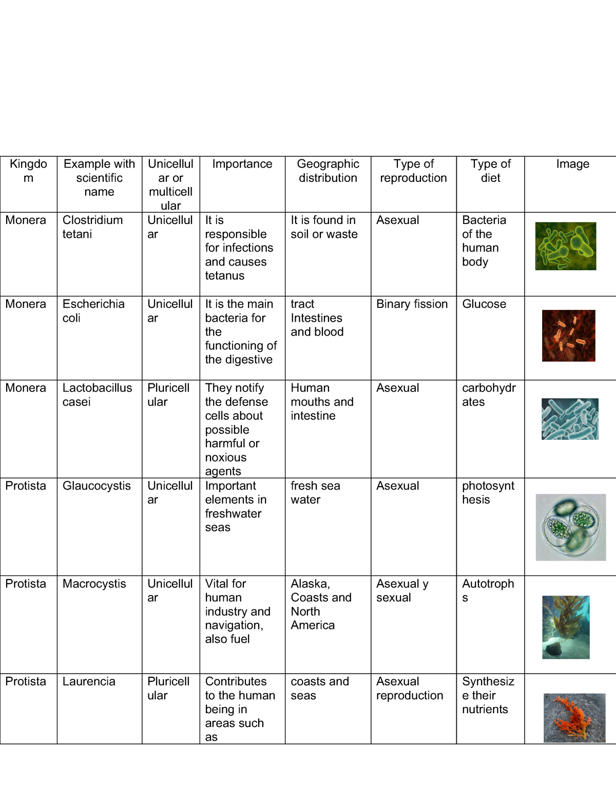 Activity fourteen (14) life science - Kingdo m Example with scientific ...