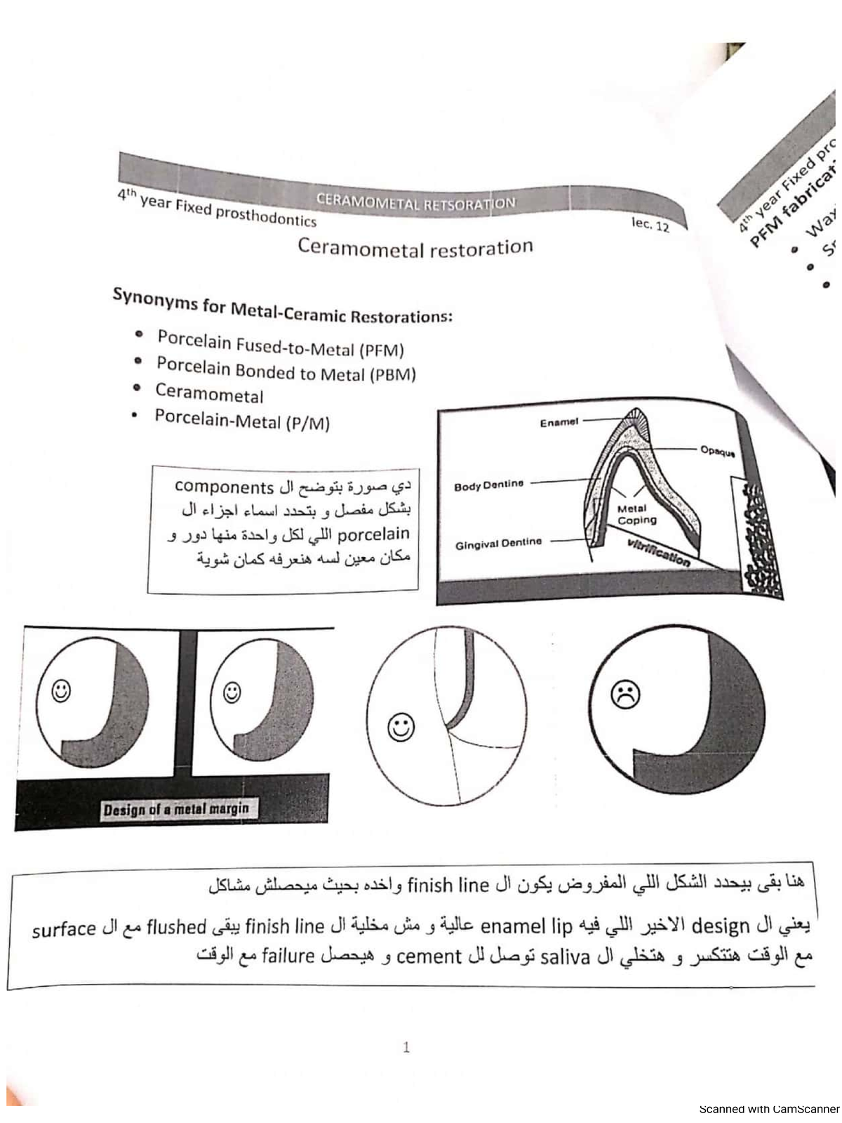 Lec 12 crown dental anatomy Studocu