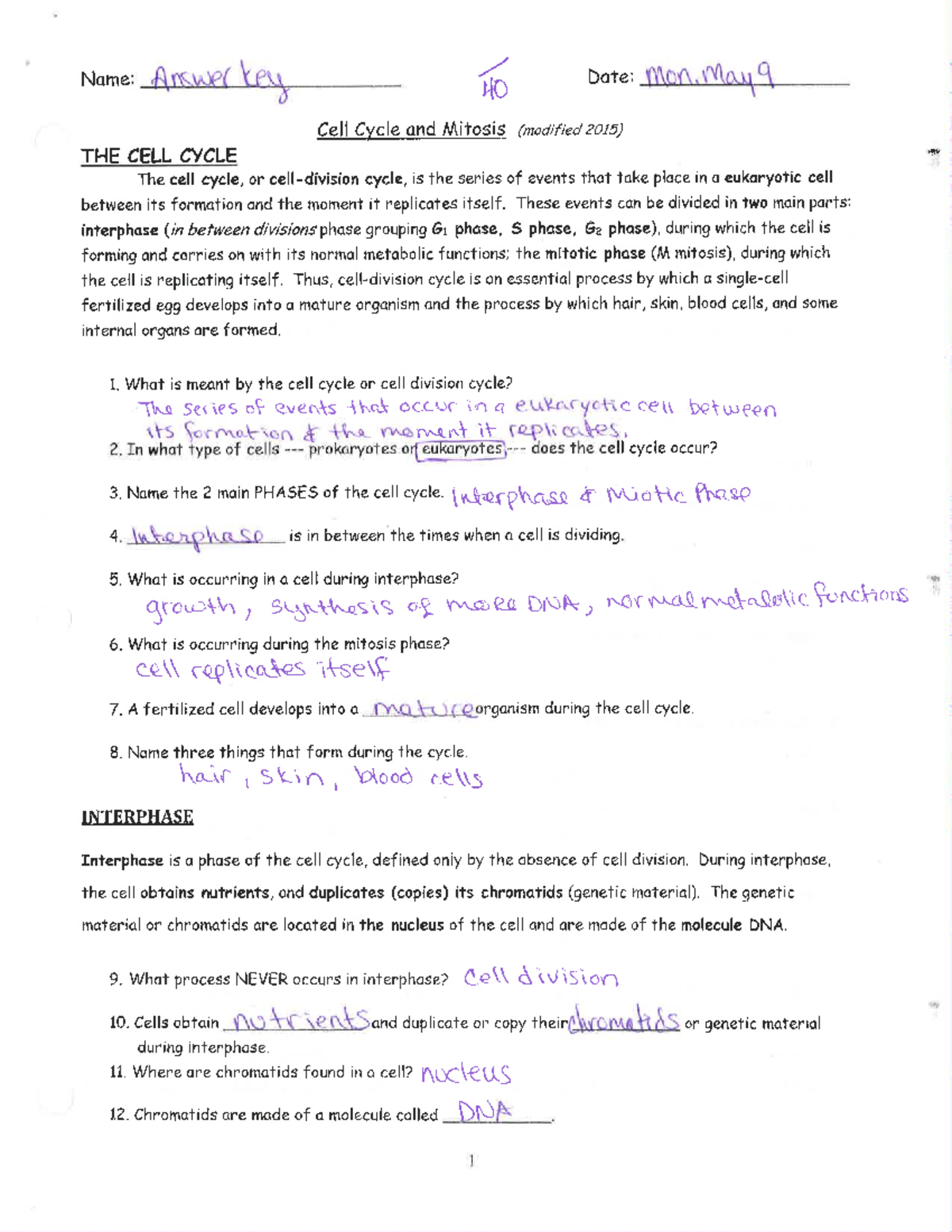 Cell cycle KEY - ........ - Studocu