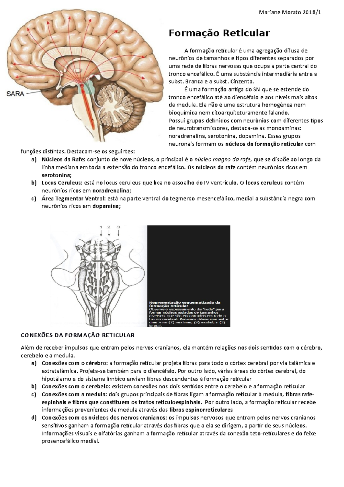 Formação Reticular - Neuroanatomia funcional - Formação Reticular A ...