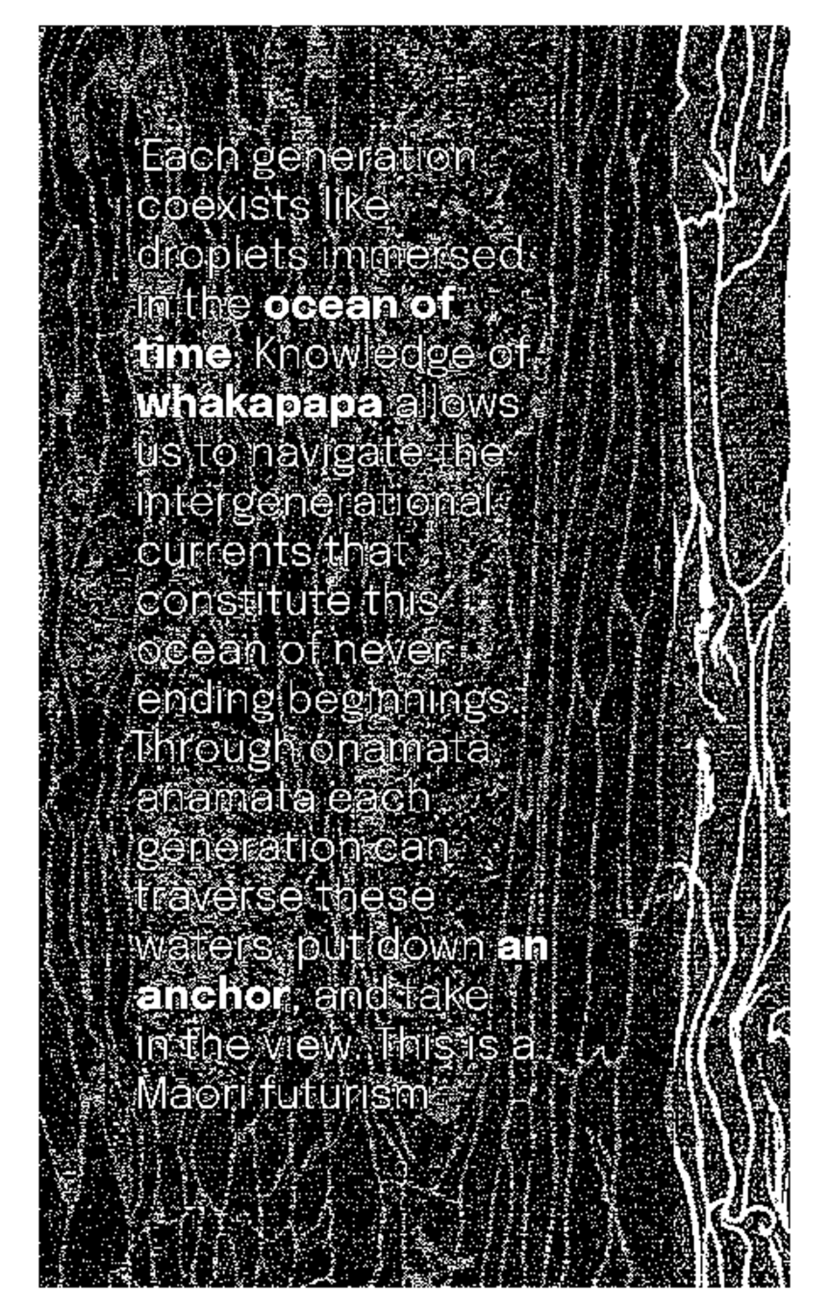 20230511 T143506 soci208 onamata anamata a whakapapa perspective of ...