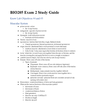 BIO205 Exam 3 Study Guide - BIO205 Exam 3 Study Guide Endocrine System ...