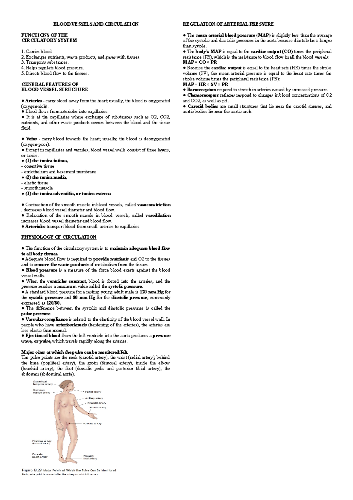 Blood Vessels AND Circulation - BLOOD VESSELS AND CIRCULATION FUNCTIONS ...