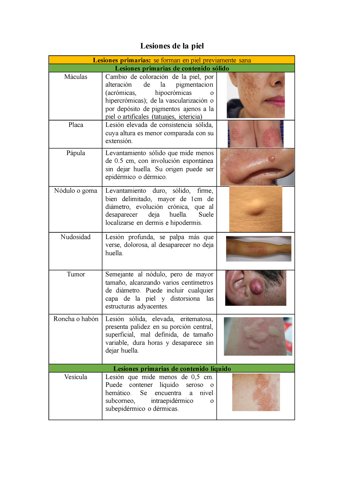 Dermatología Lesiones elementales primarias y secundarias Lesiones de la piel Lesiones Studocu
