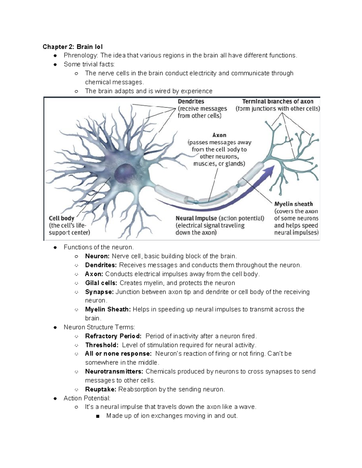 Psych Notes Chapter 2 - Chapter 2: Brain lol Phrenology: The idea that ...