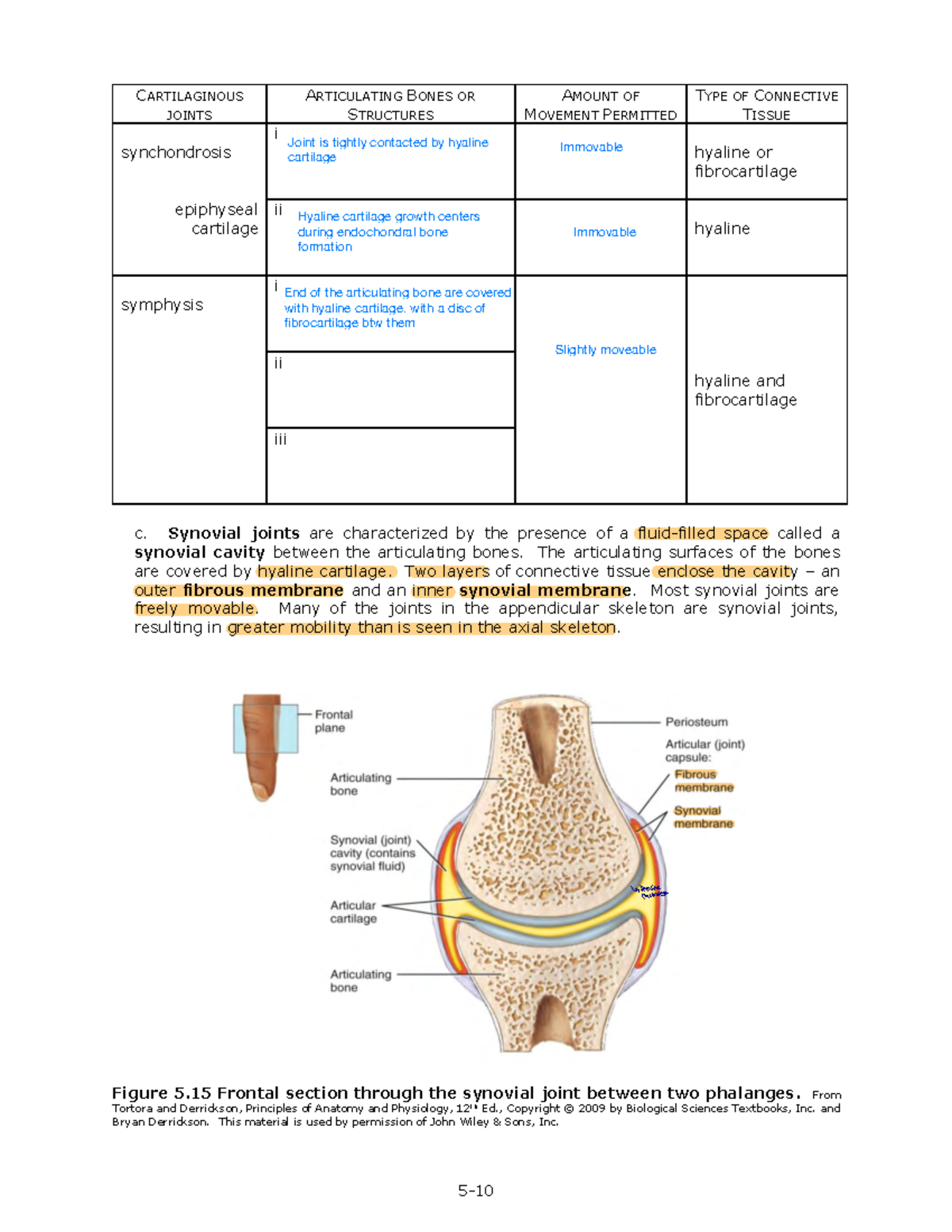 LAB 5 - Appendicular Skeleton 5 - 5- CARTILAGINOUS JOINTS ARTICULATING ...