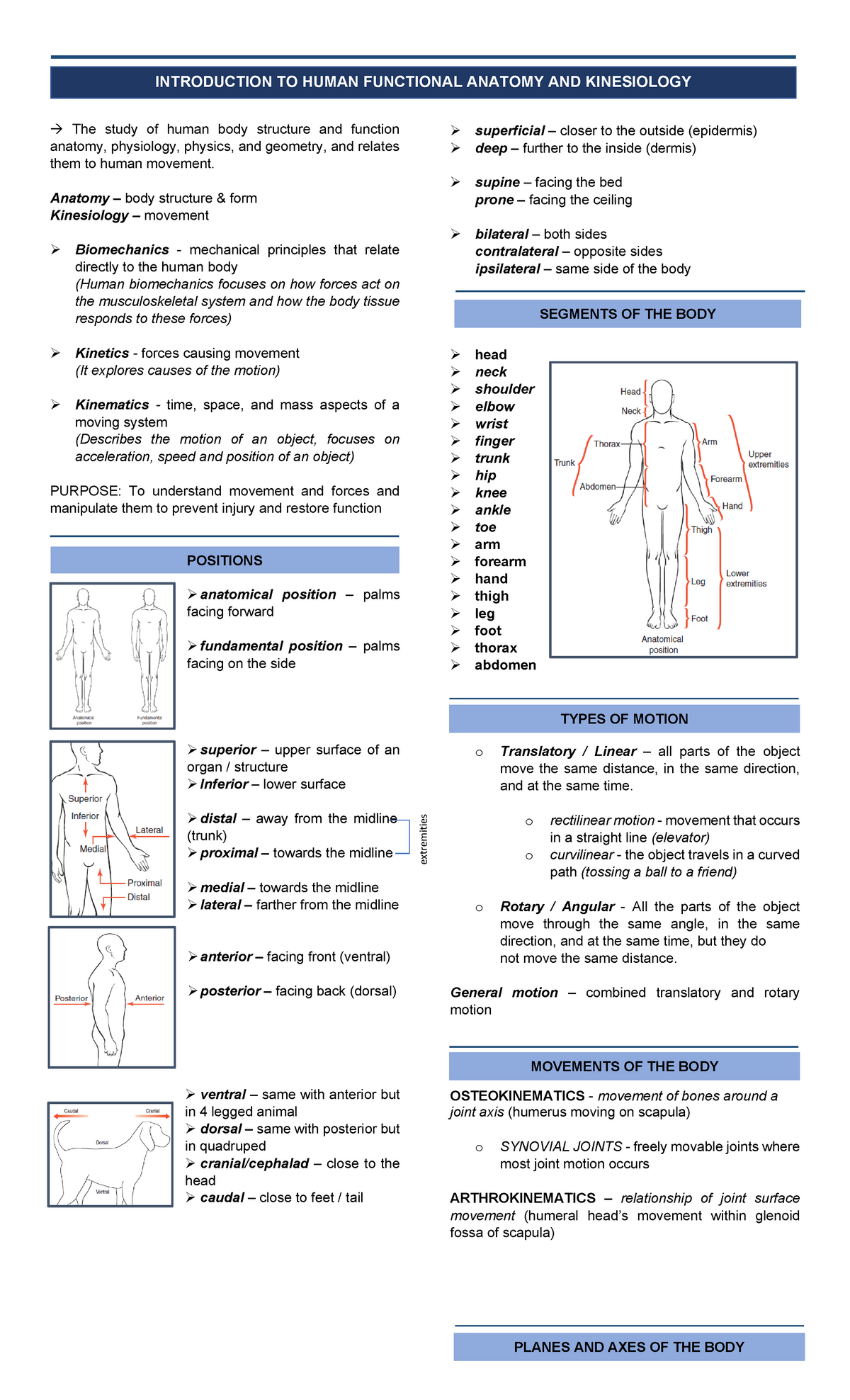 Anatomy And Kinesiology Introduction - → The Study Of Human Body ...