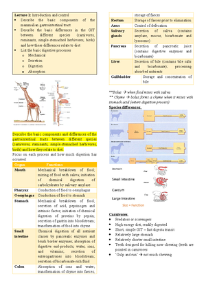 1. Neuro - Short summary of information relevant specifically to exam ...