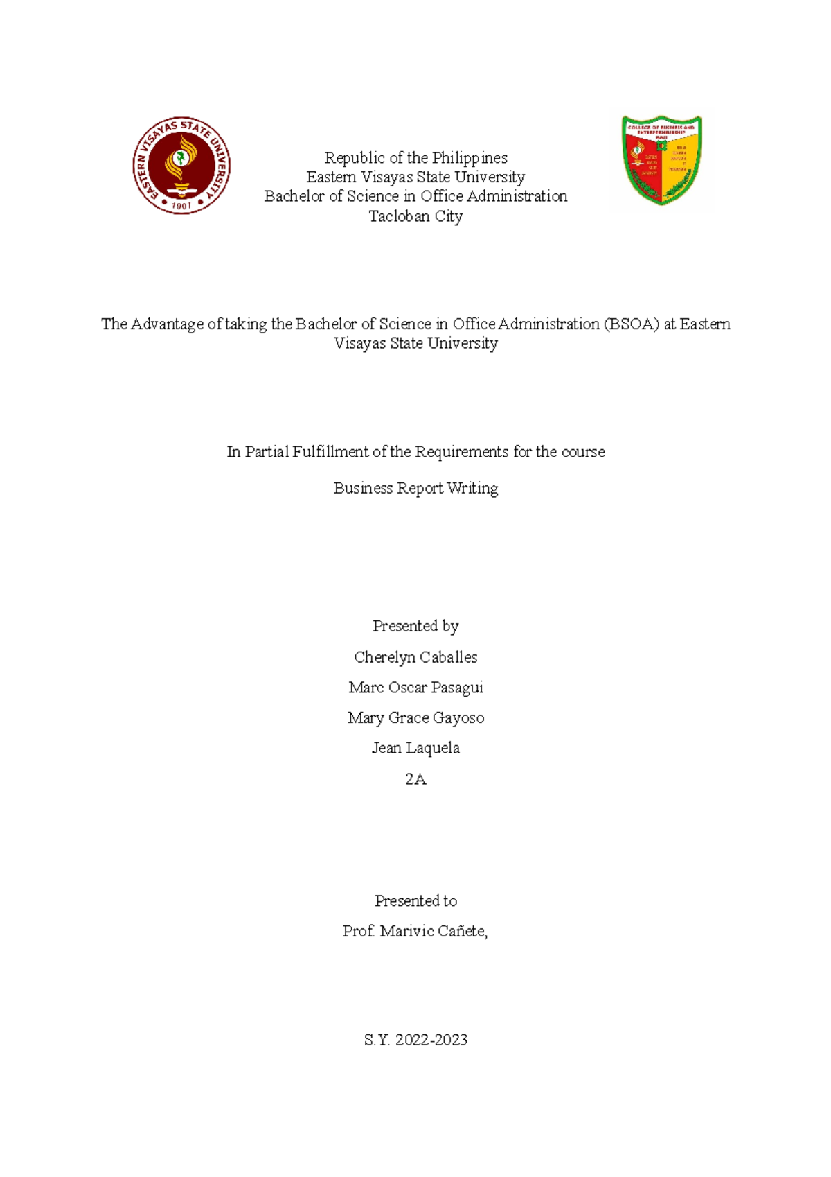Recommendation Report - Republic of the Philippines Eastern Visayas ...