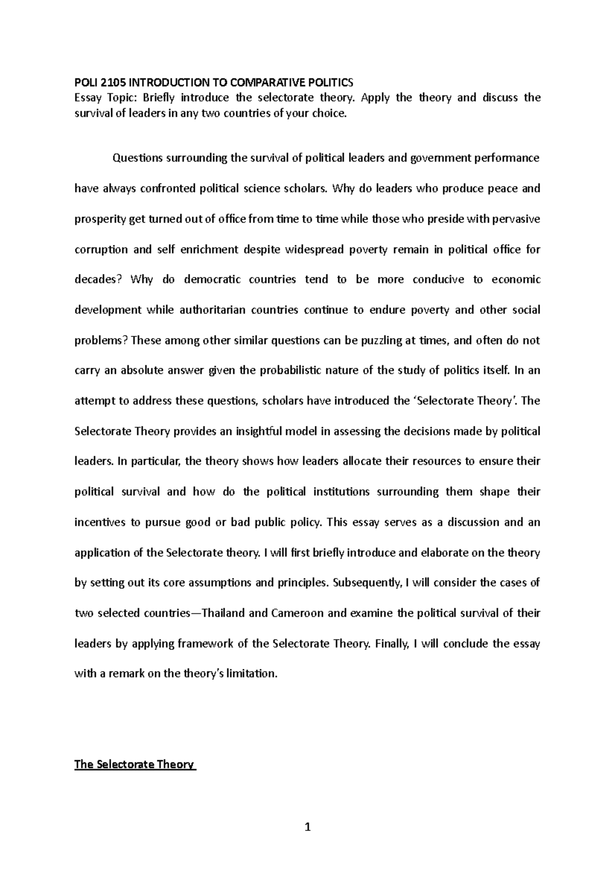 Is3230 essay 08 picture